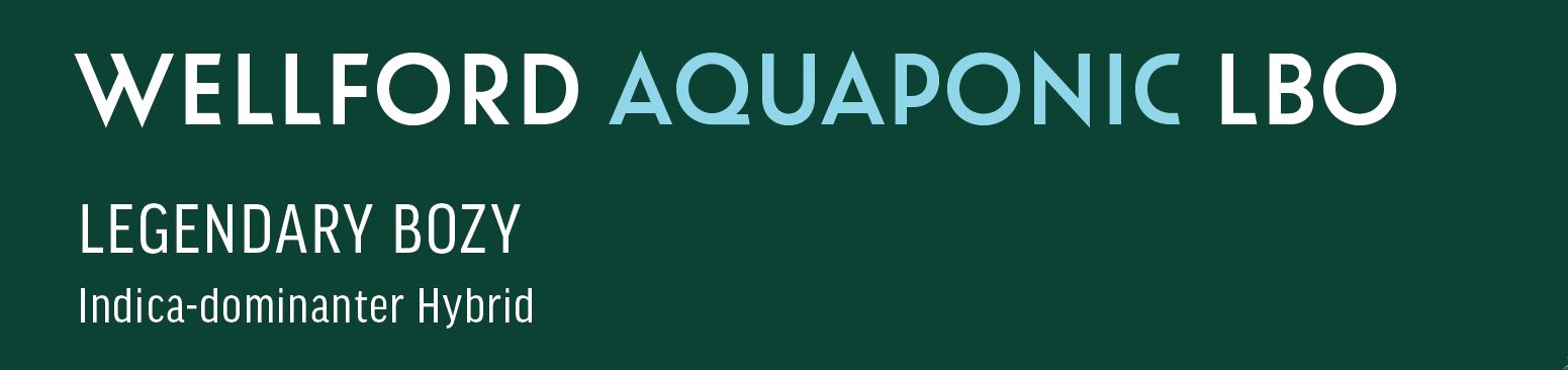Produktbild von Wellford Aquaponic 32/1 LBO (Legendary Bozy) 15g