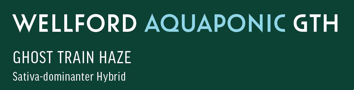 Produktbild von Wellford Aquaponic 23/1 GTH (Ghost Train Haze) 50g