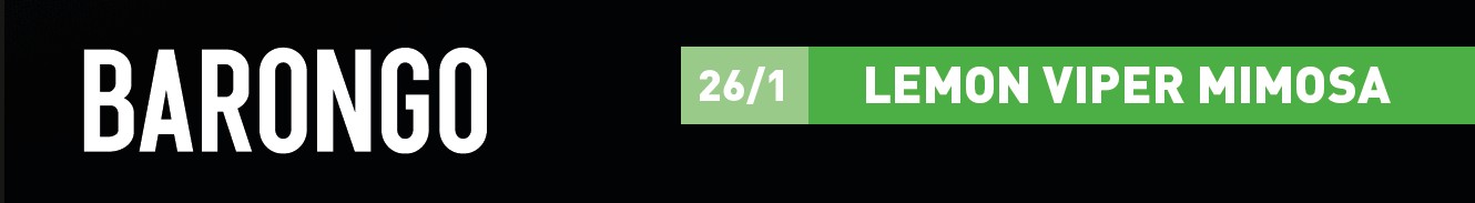 Produktbild von Barongo 26/1 VPR (Lemon Viper Mimosa) 100g