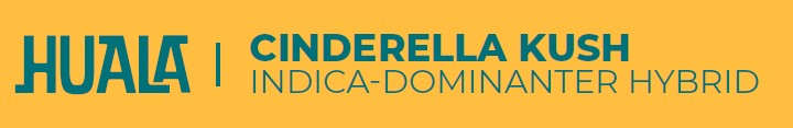 Produktbild von Huala 25/1 UK CIN (Cinderella Kush) 100g