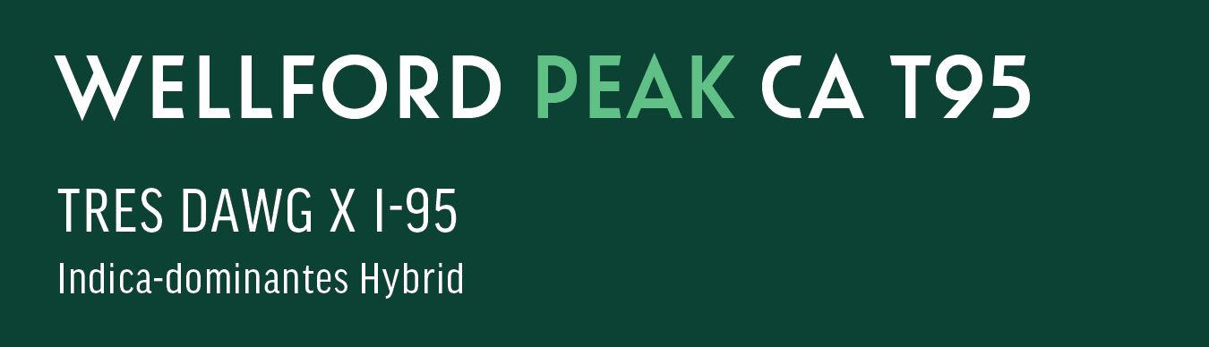 Produktbild von Wellford Peak 30/1 CA T95 (TRES DAWG X I-95) 15g
