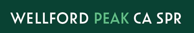 Produktbild von Wellford PEAK 30/1 CA SPR (Slurricane Pancakes Runtz) 15g